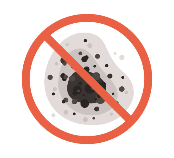 Mold Documentation for Insurance Claims in Davidson, NC