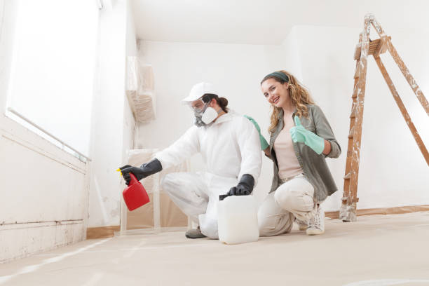 Dehumidification Services in Davidson, NC