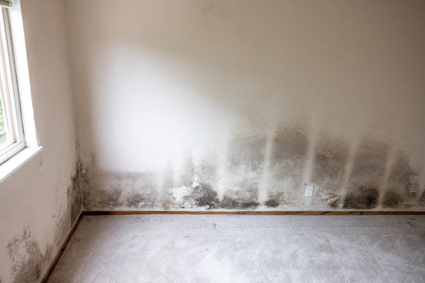 Best Indoor Air Quality Assessment  in Davidson, NC